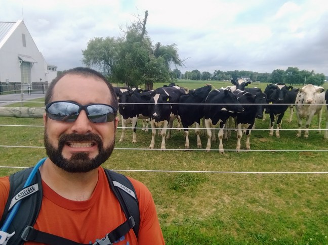 49for49cowselfie